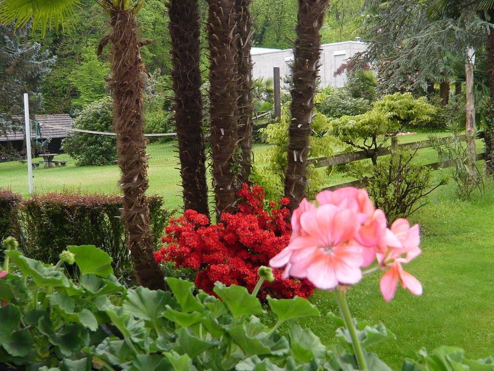 Aparthotel Garni Siesta Park Losone