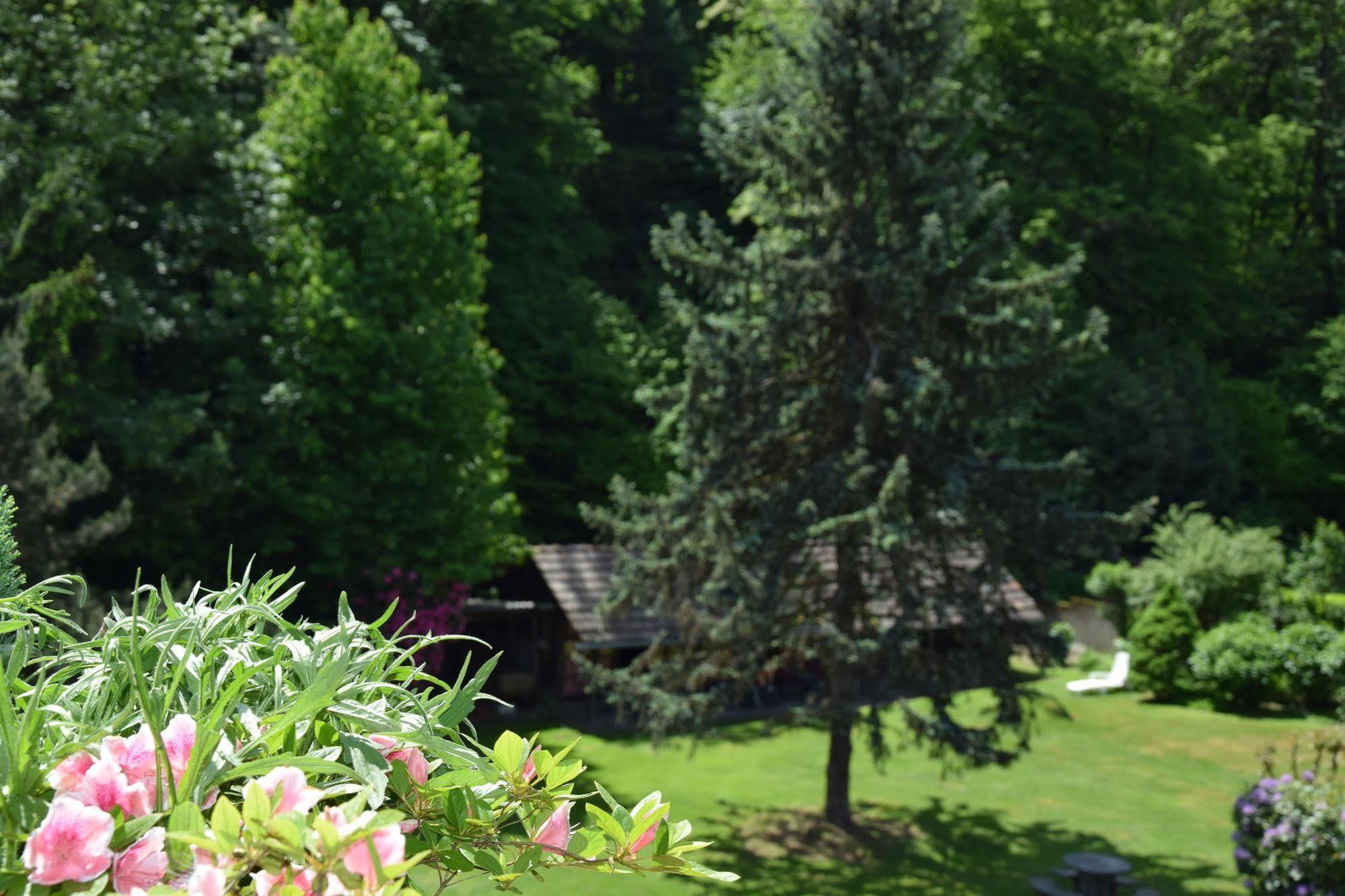 Garni Siesta Park Aparthotel Losone